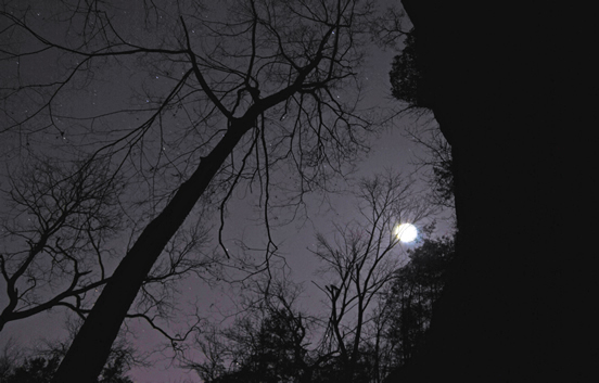 Smallin Moonlit Night 